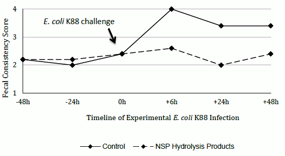 Enzyme Hydrolysis Products and Yeast-derived Products as Prebiotics and Natural Alternatives to Antibiotic Growth Promoters - Image 4