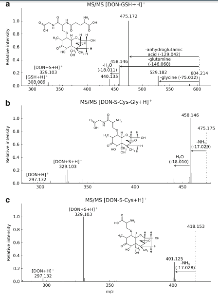 Stable isotopic labelling-assisted untargeted metabolic profiling reveals novel conjugates of the mycotoxin deoxynivalenol in wheat - Image 2