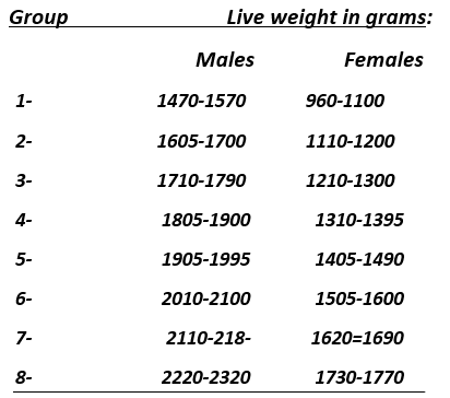 The Effect of Growth Intensity and Sex: 2- On the Chemical Composition of Breast and Thigh Meat - Image 1