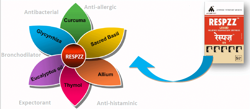 RESPZZ Relieves Respiratory Distress - Image 1