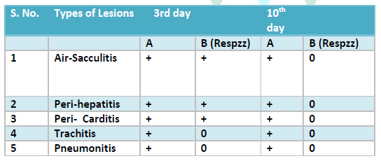 RESPZZ Relieves Respiratory Distress - Image 5