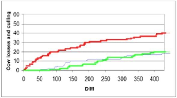 Conjugated Linoleic Acid (CLA) is supporting yield, health and fertility of the dairy cow - Image 6