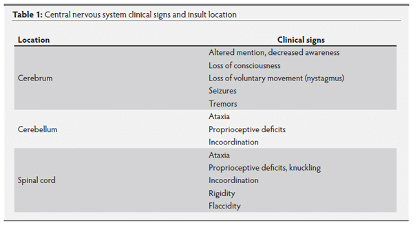 CNS disease diagnostics - Image 1