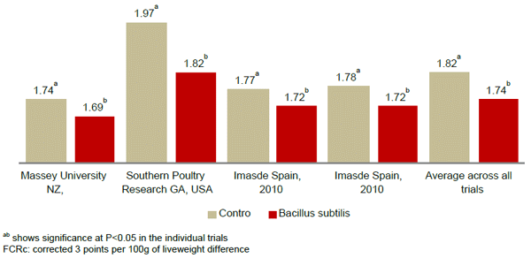 Use of Combinations containing B. Subtilis, Xylanase, Amylase and Protease to Improve Broiler Performance - Image 1