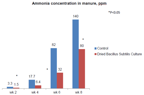 Use of Combinations containing B. Subtilis, Xylanase, Amylase and Protease to Improve Broiler Performance - Image 2