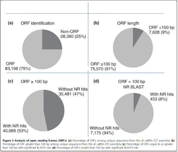 Assembly of 500,000 inter-specific catfish expressed sequence tags and large scale gene-associated marker development for whole genome association studies - Image 8