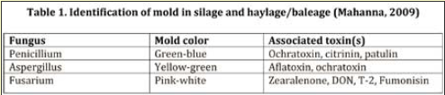 Mycotoxins can be a Problem for Cattle Producers - Image 1