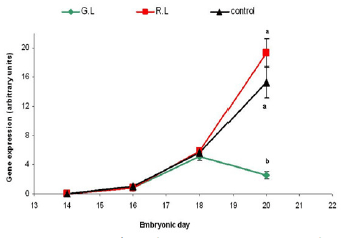 Photostimulation effects on reproductive activities of domestic birds - Image 12