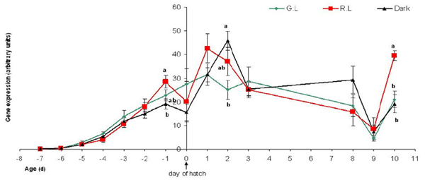 Photostimulation effects on reproductive activities of domestic birds - Image 14