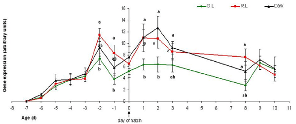 Photostimulation effects on reproductive activities of domestic birds - Image 13