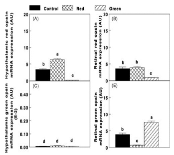 Photostimulation effects on reproductive activities of domestic birds - Image 6