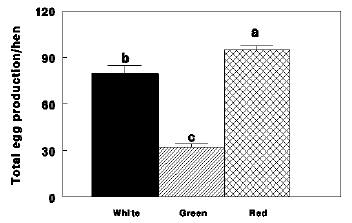 Photostimulation effects on reproductive activities of domestic birds - Image 2