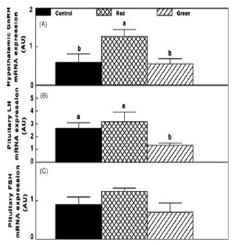 Photostimulation effects on reproductive activities of domestic birds - Image 7