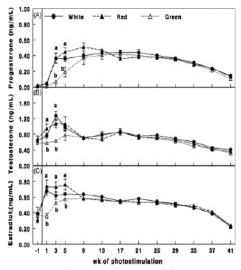 Photostimulation effects on reproductive activities of domestic birds - Image 5