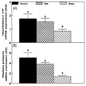 Photostimulation effects on reproductive activities of domestic birds - Image 8
