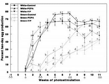 Photostimulation effects on reproductive activities of domestic birds - Image 9