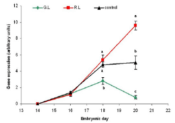 Photostimulation effects on reproductive activities of domestic birds - Image 11