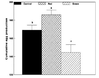 Photostimulation effects on reproductive activities of domestic birds - Image 4