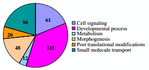 Hen uterine gene expression profiling during eggshell formation reveals putative proteins involved in the supply of minerals or in the shell mineralization process - Image 3