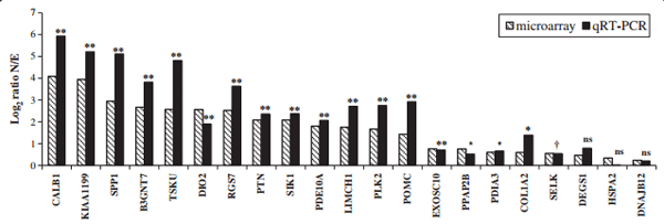 Hen uterine gene expression profiling during eggshell formation reveals putative proteins involved in the supply of minerals or in the shell mineralization process - Image 2