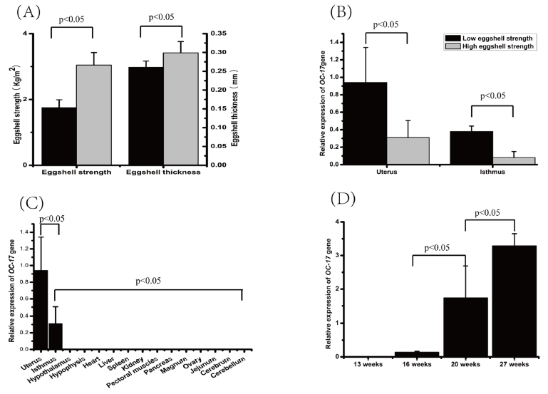 Integrating De Novo Transcriptome Assembly and Cloning to Obtain Chicken Ovocleidin-17 Full-Length cDNA - Image 5