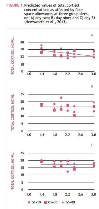 Mixing Sows – How to Maximise Welfare - Image 2
