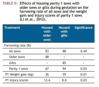 Mixing Sows – How to Maximise Welfare - Image 10