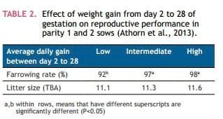 Mixing Sows – How to Maximise Welfare - Image 5