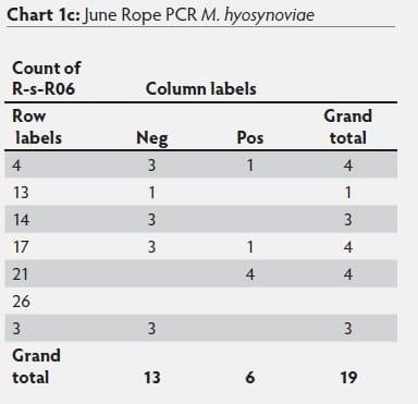 Mycoplasma hyosynoviae A Case Study: Quantitative assessment of incidence and severity across time alongside a diagnostic monitoring plan and intervention - Image 42