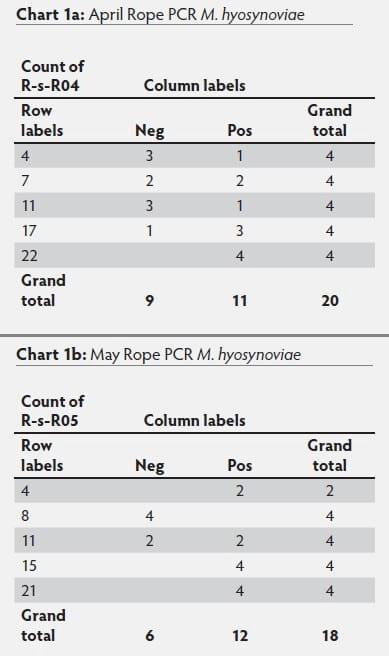 Mycoplasma hyosynoviae A Case Study: Quantitative assessment of incidence and severity across time alongside a diagnostic monitoring plan and intervention - Image 41