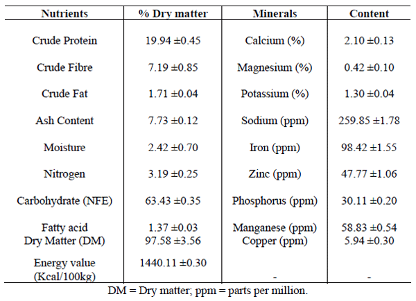 The effects of utilizing melon husk meal with wild mushroom (Ganoderma sp.) and enzyme supplement on performance characteristics of broiler chicken - Image 5