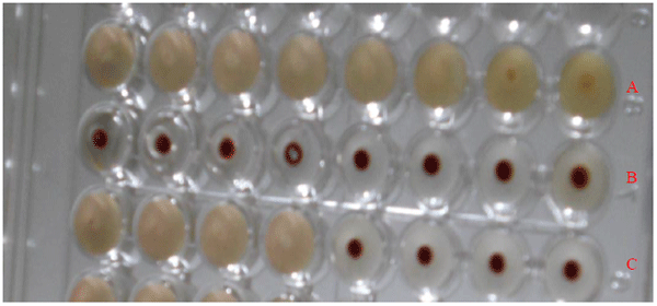 In vitro Inhibition of Neuraminidase Activity of Influenza Virus (H5N2) by Methanolic Soluble Fraction of Ganoderma lucidum Extract - Image 3