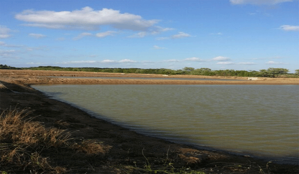 Effect of Incorporating “OXYDOL®” in White Shrimp Farming Ponds Litopenaeus vannamei over Production and Physical-Chemical Parameters - Image 3