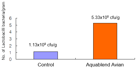 AQUABLEND AVIAN Trial - Image 10