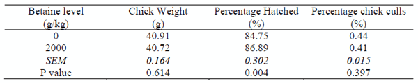 Betaine Increases Percentage Hatched in Broiler Breeders - Image 1