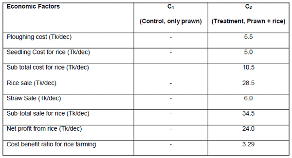 Economics and Productivity of Rice Cum Freshwater Prawn (MACROBRACHIUM ROSENBERGII) in the Gher Farming System - Image 6