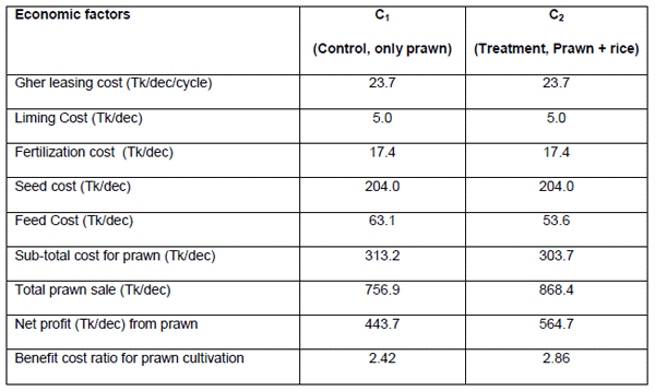 Economics and Productivity of Rice Cum Freshwater Prawn (MACROBRACHIUM ROSENBERGII) in the Gher Farming System - Image 4