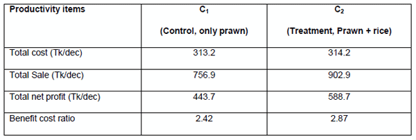 Economics and Productivity of Rice Cum Freshwater Prawn (MACROBRACHIUM ROSENBERGII) in the Gher Farming System - Image 7