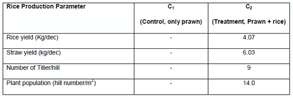 Economics and Productivity of Rice Cum Freshwater Prawn (MACROBRACHIUM ROSENBERGII) in the Gher Farming System - Image 5