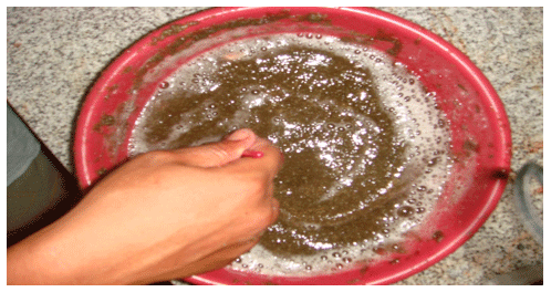 Reducing the Cannibalism among newly hatched African Catfish, Clarias gariepinus, Fry by Grading - Image 4
