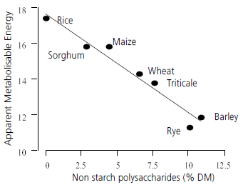 Feed energy – what system to use and prospects for evaluation - Image 2