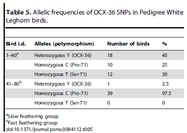 Ovocalyxin-36 Is a Pattern Recognition Protein in Chicken Eggshell Membranes - Image 12