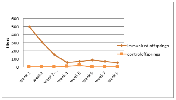 Humoral immune responses of pregnant Guinea pigs Immunized with live attenuated Rhodococcus equi - Image 2