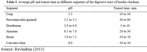 The perfect pellet: issues and challenges - Image 8