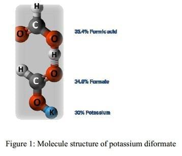 Dietary potassium diformate in sows during pre-farrowing till weaning: Effects on piglet performance in Thailand - Image 3