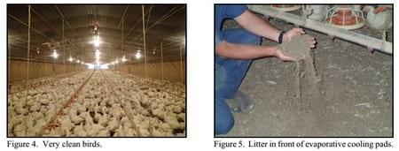 Increasing Evaporative Cooling Pad Set Temperatures - Image 4