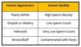 Maintenance of Reproductive Competency in Breeder Males - Image 1