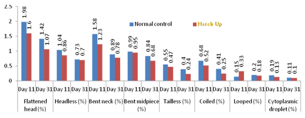Maintenance of Reproductive Competency in Breeder Males - Image 4