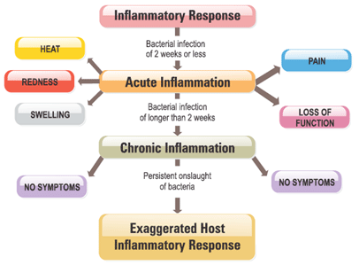 Mastitis - a Matter of Inflammation