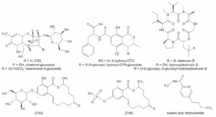 Masked mycotoxins: A review - Image 1